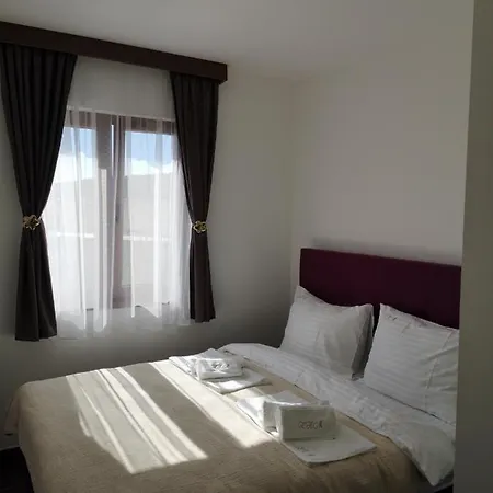 Hill's Maksimovic * Zlatibor