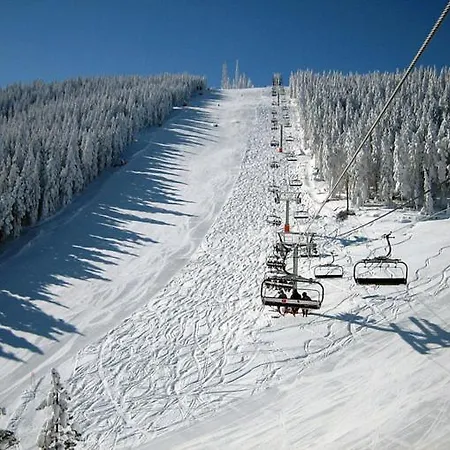 Hill's Maksimovic * Zlatibor